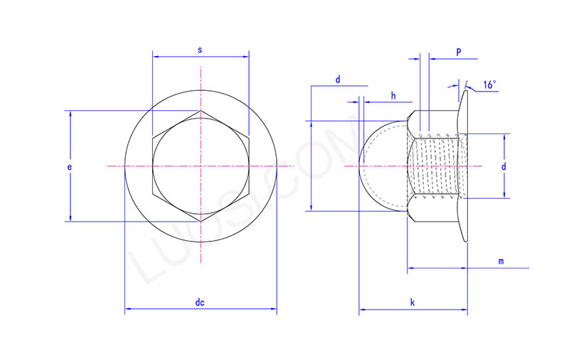 Acorn Nut Flange